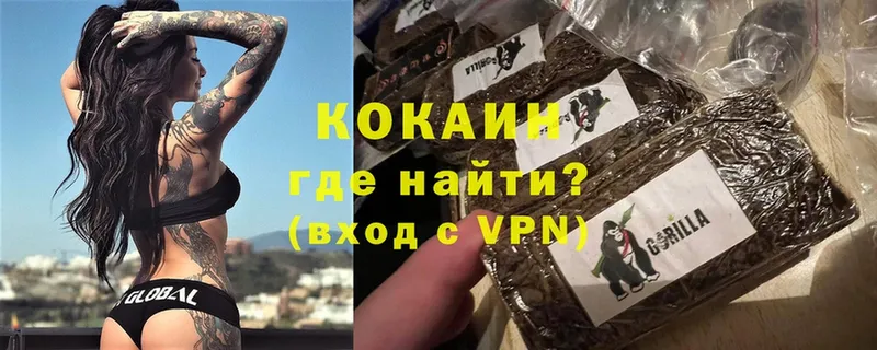 купить наркоту  Нелидово  COCAIN Эквадор 